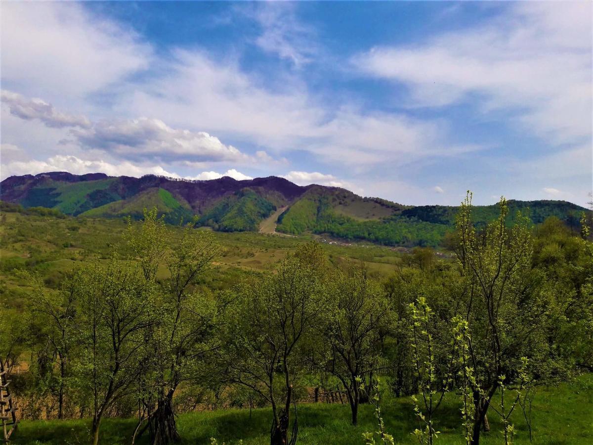 Готель Casa Din Piatra Poiana  Екстер'єр фото