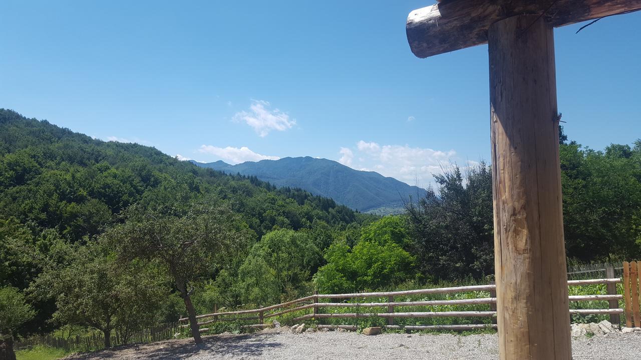 Готель Casa Din Piatra Poiana  Екстер'єр фото